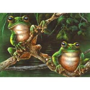 Two Tree Frogs Card - Kenaf